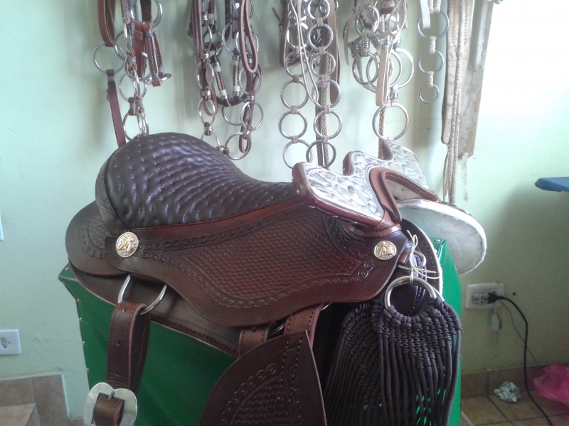 sellier-ST CYR SUR MER-min_saddlery-614193